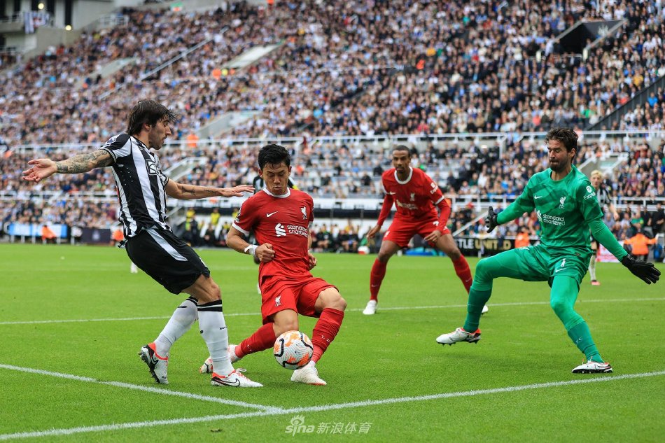 这里不仅有 这里不仅有